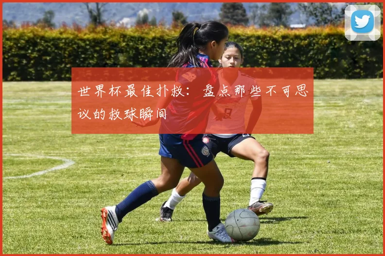 世界杯最佳扑救:盘点那些不可思议的救球瞬间